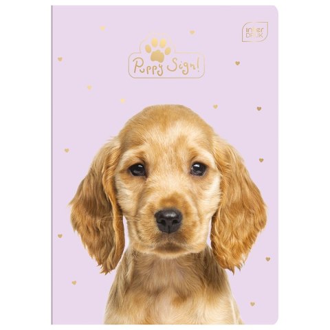 Zeszyt Puppy Sign A5 16k. 70g krata [mm:] 148x210 Interdruk (ZE16#PS)