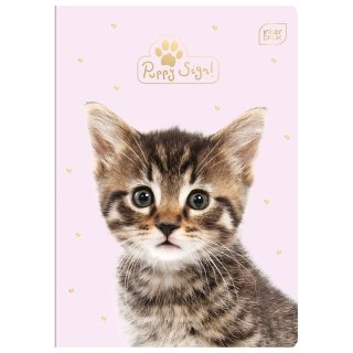 Zeszyt Puppy Sign A5 16k. 70g krata [mm:] 148x210 Interdruk (ZE16#PS)
