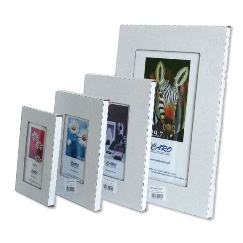 Antyrama plexi plexi [mm:] 500x700 Raw-West