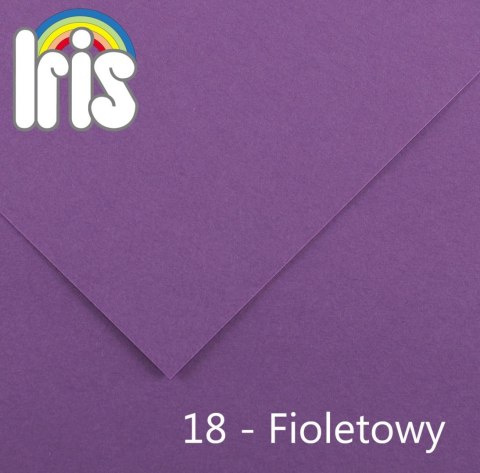 Brystol Iris 18 B1 fioletowy 240g 25k [mm:] 700x1000 Canson (200040457)