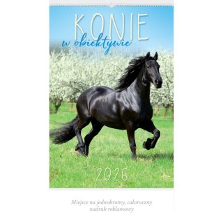 Kalendarz ścienny 13-planszowe 320mm x 470mm Lucrum (RW14)