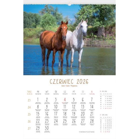 Kalendarz ścienny 13-planszowe 320mm x 470mm Lucrum (RW14)