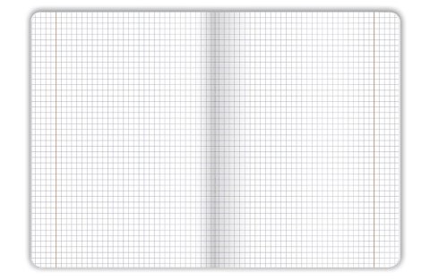 Zeszyt OCEAN A5 32k. 70g krata Top 2000 (400182343)