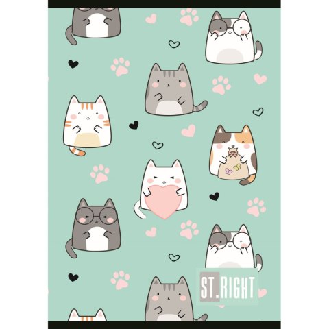 Zeszyt St.Right A4 32k. linia Unipap