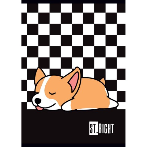 Zeszyt St.Right A4 32k. linia Unipap