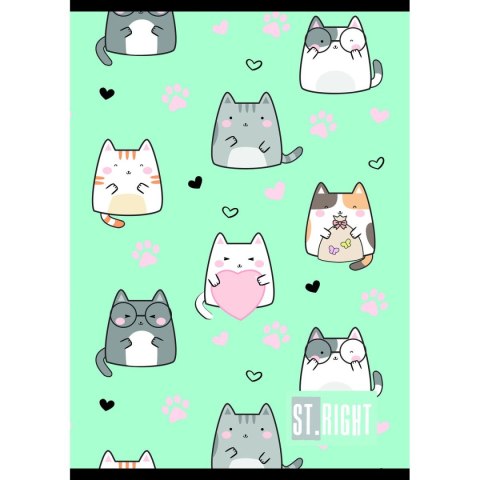 Zeszyt St.Right A4 32k. linia Unipap