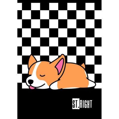 Zeszyt St.Right A4 32k. linia Unipap