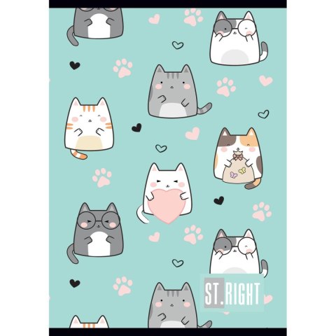 Zeszyt St.Right A4 32k. linia Unipap