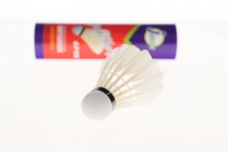 Lotka do badmintona Adar (120327)