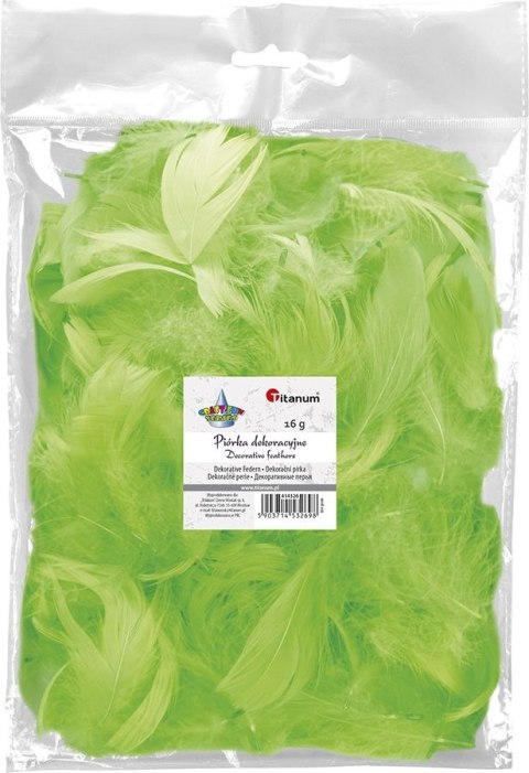 Piórka Craft-Fun Series limonka Titanum