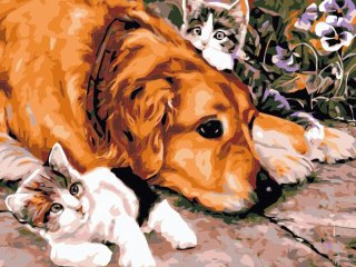 Zestaw kreatywny Malowanie po numerach 30x40cm Pies i koty Flamingo Line (FC165)