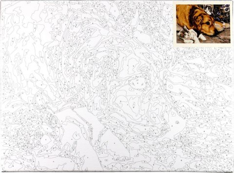 Zestaw kreatywny Malowanie po numerach 30x40cm Pies i koty Flamingo Line (FC165)