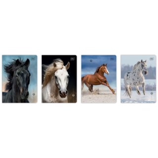 Zeszyt WILD HORSES A5 16k. 70g linia kolor Interdruk