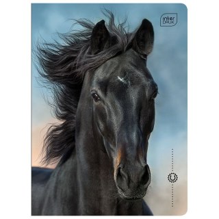 Zeszyt WILD HORSES A5 16k. 70g linia kolor Interdruk