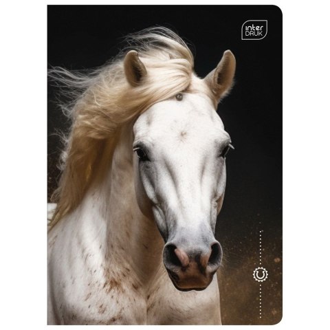 Zeszyt WILD HORSES A5 16k. 70g linia kolor Interdruk