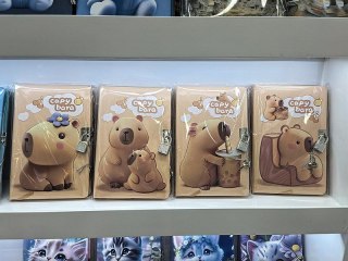 Pamiętnik z kłódką, Kapibara A5 Adar (625266)