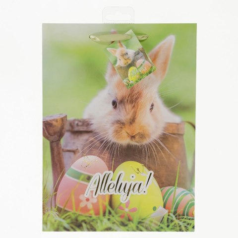 Torba prezentowa [mm:] 22x30x 10 Avanti (TWL-2)