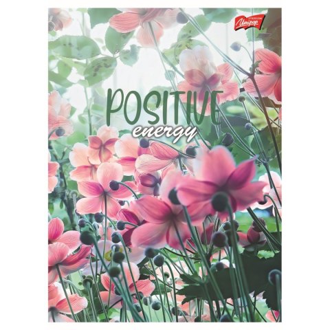 Zeszyt Meadow Unipap