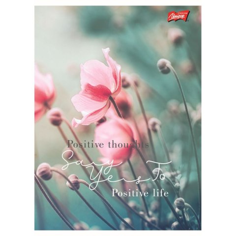 Zeszyt Meadow Unipap