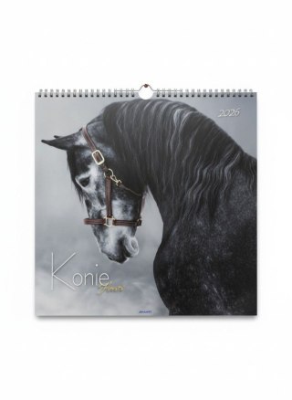 Kalendarz ścienny wieloplanszowy 330mm x 330mm Avanti (5901769620292)