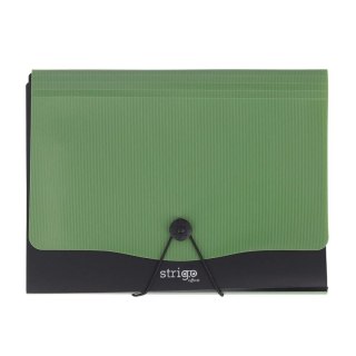 Teczka z przegródkami zielony ciemny a4/13 A4 kolor: miętowy 13 przegródek Strigo (SF0053)