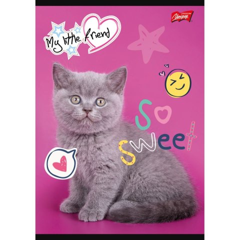 Zeszyt MY LITTLE FRIEND A5 32k. krata Unipap