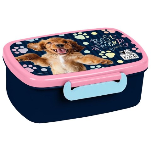 Śniadaniówka Derform (SACF44)