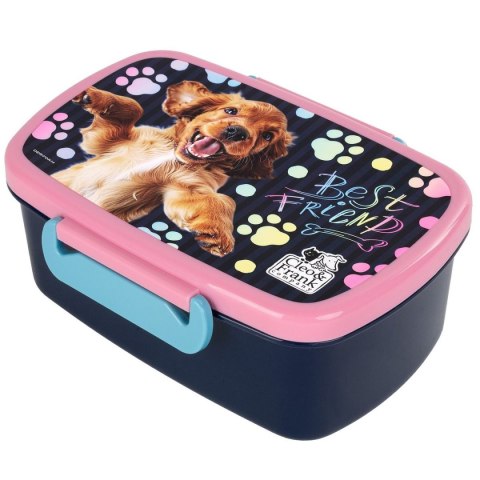 Śniadaniówka Derform (SACF44)