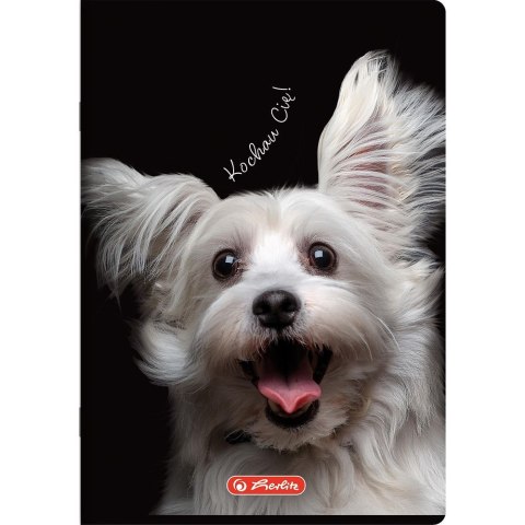 Zeszyt Crazy Animal A5 60k. 70g krata Herlitz (400196837)