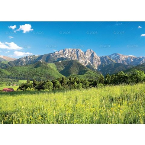 Kalendarz ścienny Tatry i Podhale rodzinny 2023 280mm x 200mm Lucrum (WL04)
