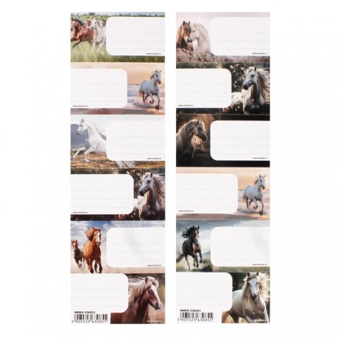 Naklejka na zeszyt Horse Starpak (536023)