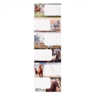 Naklejka na zeszyt Horse Starpak (536023)