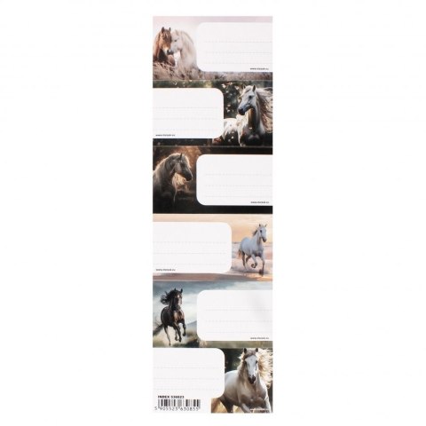 Naklejka na zeszyt Horse Starpak (536023)