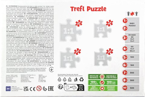 Puzzle Hot Wheels Pędzące samochody 100 el. Trefl (16466)