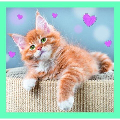 Puzzle Słodkie zwierzaki 3w1 el. Trefl (34862)