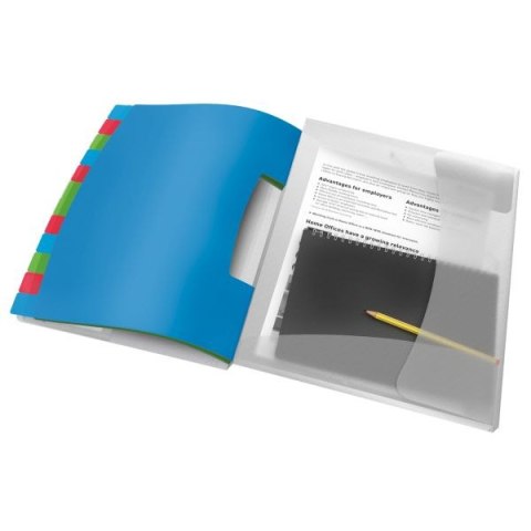 Teczka z przegródkami Vivida A4 kolor: mix 12 przegródek [mm:] 266x320 Esselte (624030)