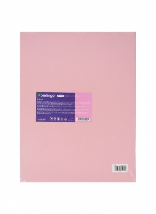 Teczka ofertowa A4 kolor: mix 20 kieszeni Berlingo (352615)