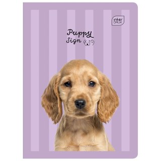 Zeszyt TRENDS GIRLS A5 32k. 70g krata Interdruk (ZE32#TREGIRLS)