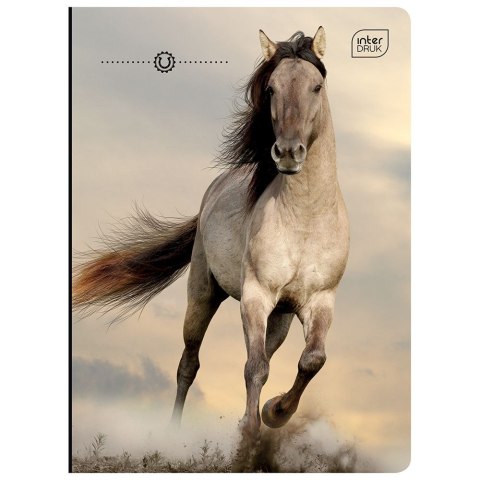 Zeszyt TRENDS GIRLS A5 32k. 70g krata Interdruk (ZE32#TREGIRLS)