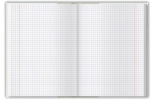 Brulion colors niebieski A4 192k. 70g krata Top 2000 (400169206)