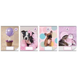 Zeszyt THE SWEET PETS A5 16k. trzy linie Beniamin (2689)
