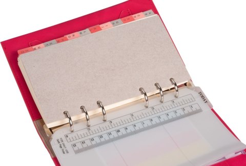 Organizer NABUK MEMOFIX malinowy [mm:] 145x100 Antra (B6)