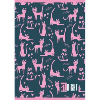 Zeszyt ST.RIGHT Unipap