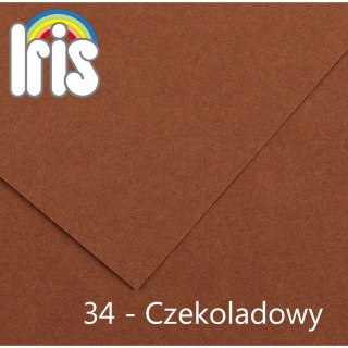 Brystol A4 czekoladowy 185g 50k Canson (200040176)