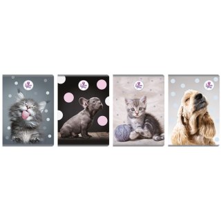 Zeszyt The Sweet Pets A5 60k. krata Beniamin (6112)