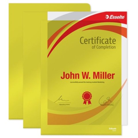 Ofertówka A4 kolor: żółty typu L 150 mic. Esselte (55431)