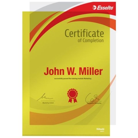 Ofertówka A4 kolor: żółty typu L 150 mic. Esselte (55431)