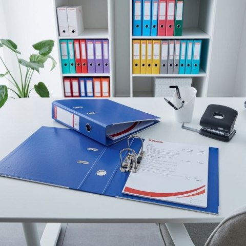 Segregator dźwigniowy No.1 Power A4 50mm szary Esselte (811480)