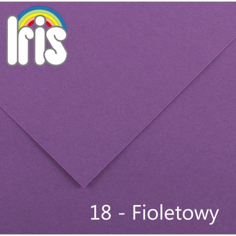 Brystol Iris 18 A4 fioletowy 120g 100k Canson (200040017)