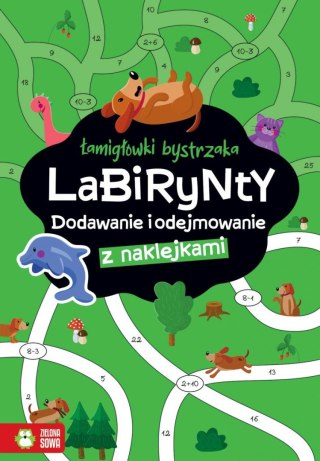 Książeczka edukacyjna Łamigłówki bystrzaka Labirynty. Dodawanie i odejmowanie Zielona Sowa
